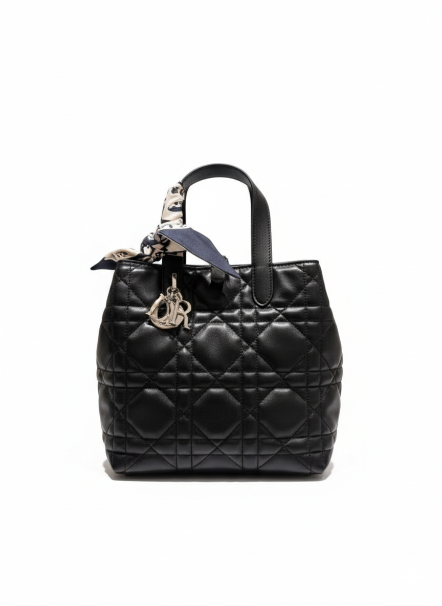 Bag Dior