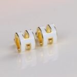 Jewelry Hermes Earrings