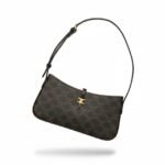 Celine Bag