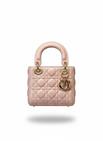 Dior Bag