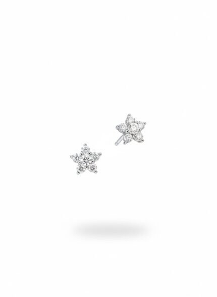 Jewelry apm Earrings