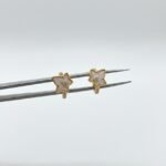 Jewelry Lara Rose Earrings