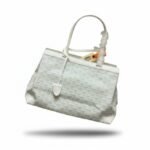 Goyard Bag