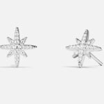 Jewelry apm Earrings