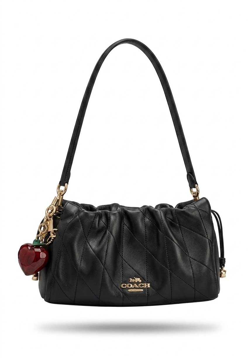 Coach Bags